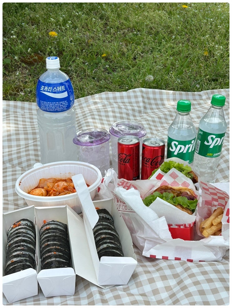  [2024.04.14-04.17] 피크닉 가기 좋은 날 (대연동 맛집 왓더버거, 김가네김밥, 켁터스 멕시칸그릴)