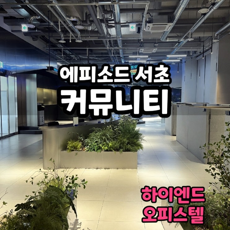  [건물소개] 에피소드 강남 262 커뮤니티 임장 후기