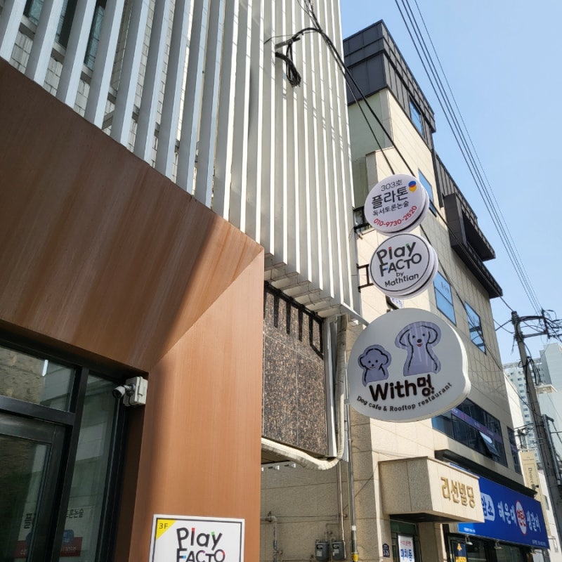 사진 3