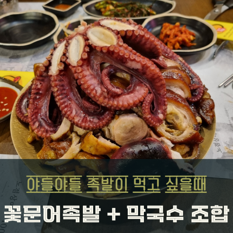  동탄족발 맛집은 병점 야들야들한 꽃문어 보약족발