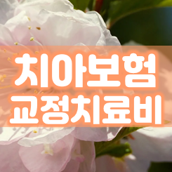  어린이치아보험 교정 치료비: 충치 치료부터 예방적 치료 및 어린이치아교정보험 보장까지 한 번에 가입