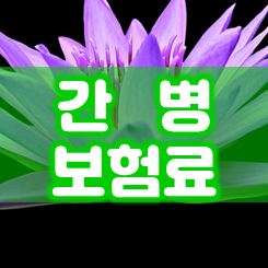  간병보험료 비교 시 알아두면 좋은 9가지 주의사항