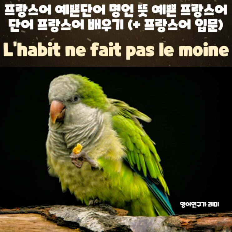 프랑스어 예쁜단어 명언 뜻 예쁜 프랑스어단어 프랑스어 배우기 (+ 프랑스어 입문) 프랑스어 예쁜단어 명언 뜻 예쁜 프랑스어단어 프랑스어 배우기 (+ 프랑스어 입문)