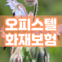  오피스텔 화재보험 가입 전 가격 비교 요령은 이제 이 글 하나로 끝냅니다.
