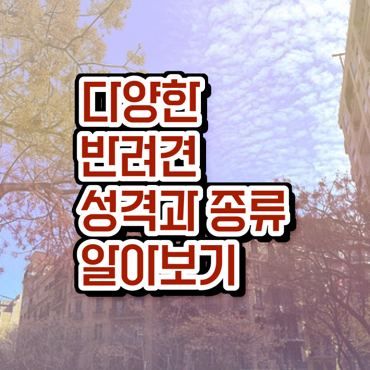  반려동물종합관리사 책 , 반려동물관리사 자격증 무료 강의 궁금증 해결