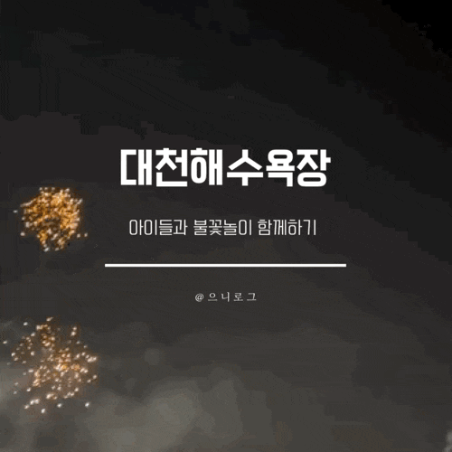  대천해수욕장에서 바다보며 불꽃놀이