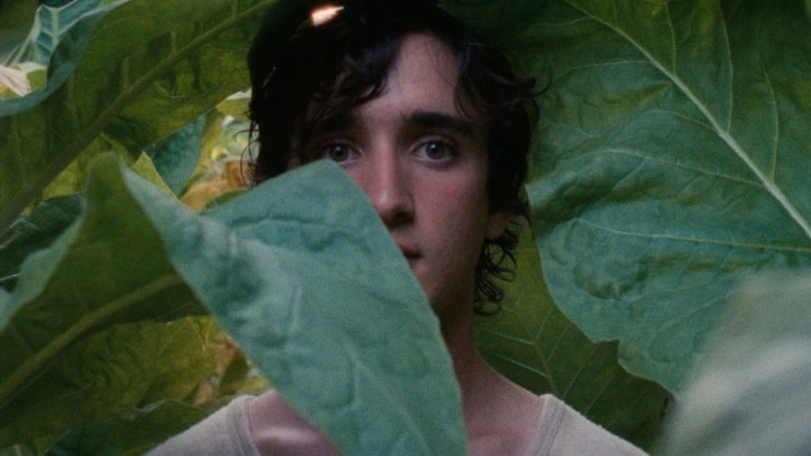  [영화] 행복한 라짜로(Happy as Lazzaro)