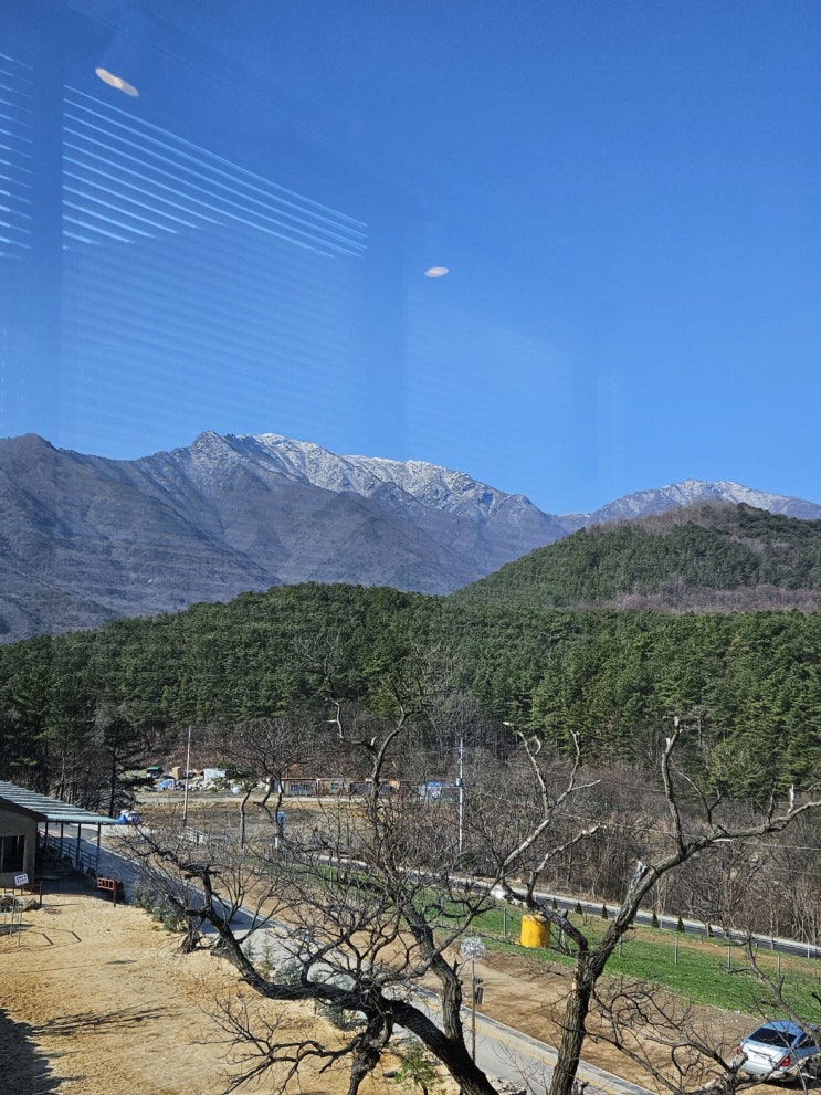  영남알프스 최고 카페, 나인 힐 베이커리 카페(3월 9일)