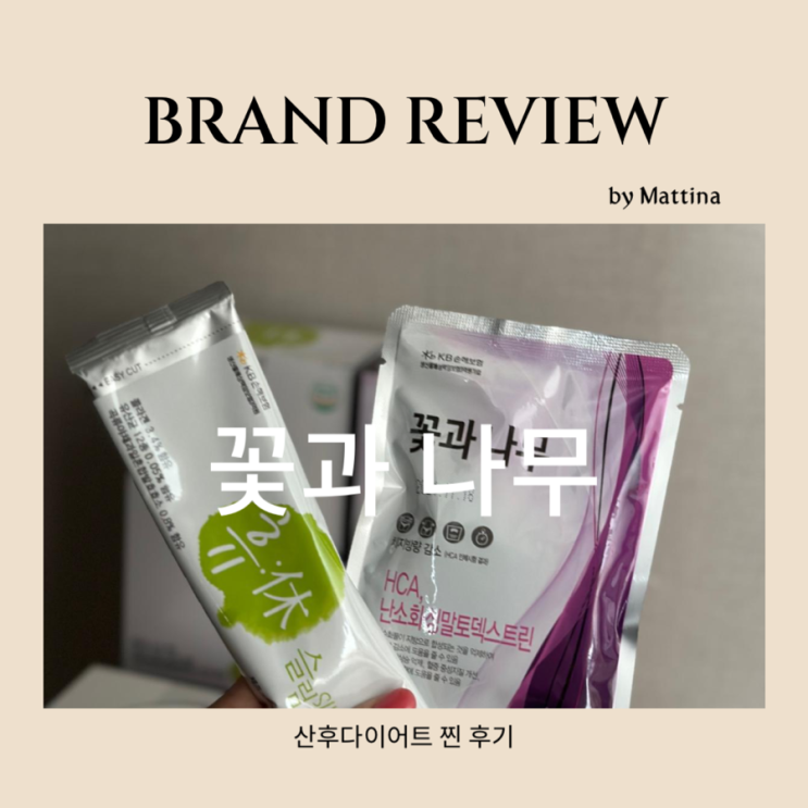 꽃과나무 다이어트 산후다이어트 성공 후기 식단으로 두 달 동안 7키로 뺀 방법