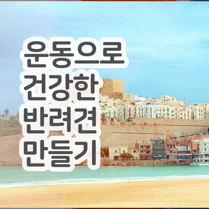  반려동물관리사 취업 반려견운동지도사 1급,2급 동시에 취득 정보