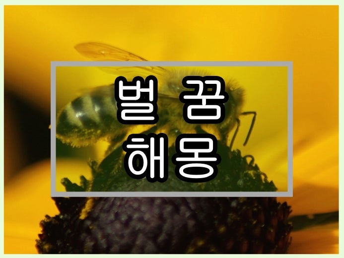 벌꿈 꿀벌에 쏘이는 꿈 해몽