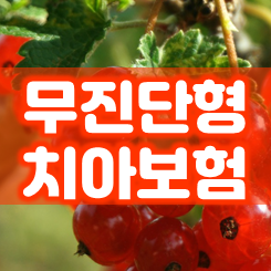  무진단형치아보험 보장내용과 기억해야 할 가입 요령을 알아봤어요.