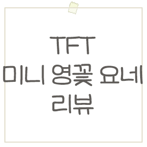  롤체 시즌 11 너무 잘생긴 미니 영혼의 꽃 요네 처형씬, 리뷰