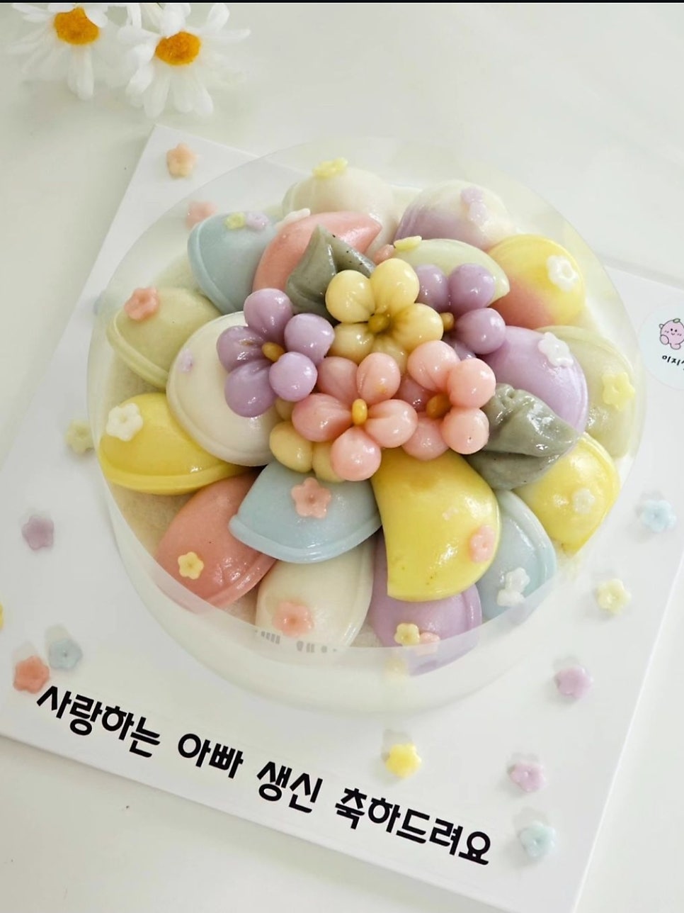 이지설기 사진 2