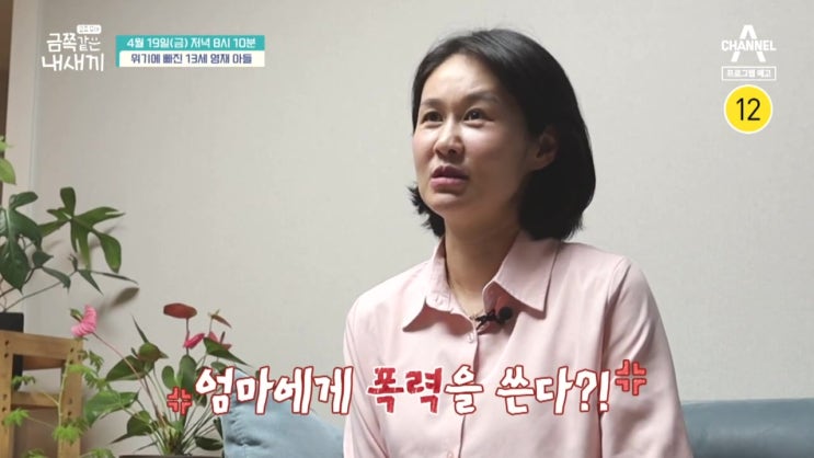 영재 아들 엄마에게 폭력 욕해 싱글맘 고민 금쪽같은 내 새끼 영재 아들 엄마에게 폭력 욕해 싱글맘 고민 금쪽같은 내 새끼
