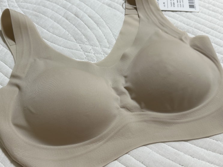  출근룩 속옷 바디블루 이지 젤리 브라렛 등살커버브라
