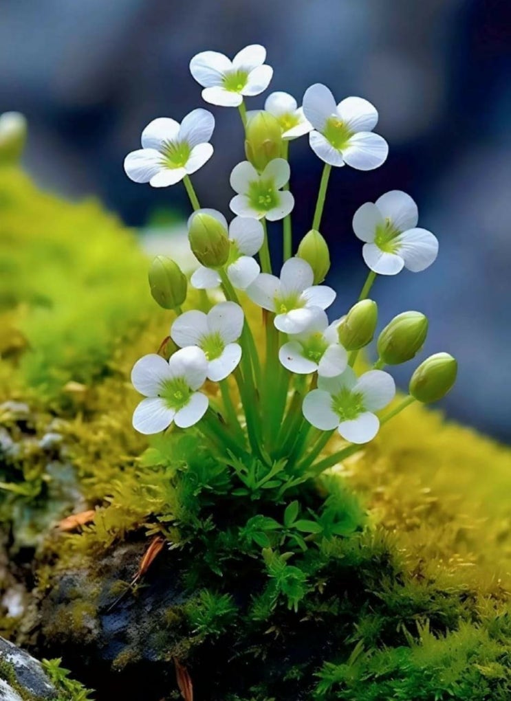   오늘의 생활정보 (2024-04-19, 금)