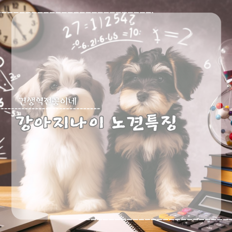  강아지 나이계산기 노견 기준 노령견 특징 펫케어