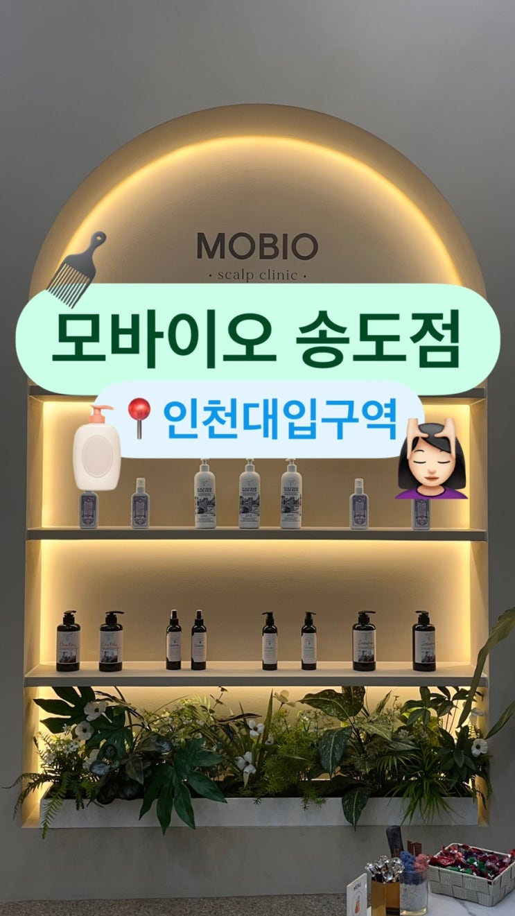 송도두피 관리샵 ‘모바이오 송도점’ 방문 후기