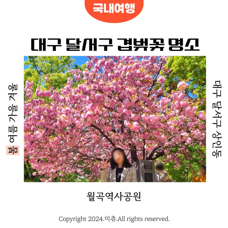  대구 월곡역사공원 겹벚꽃 명소 달서구 가볼만한 곳