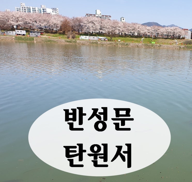  음주운전 벌금 구제 반성문 탄원서 이렇게 준비해 보세요