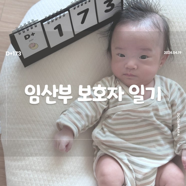 예전보다 부쩍 자란 도담이 D+173 예전보다 부쩍 자란 도담이 D+173