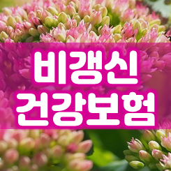  비갱신 건강보험 가입의 필요성과 합리적인 가격 비교 요령 안내