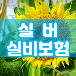  60대 70대 부모님을 위한 실버실비보험 가입 및 가격 비교 요령을 알려드릴게요.