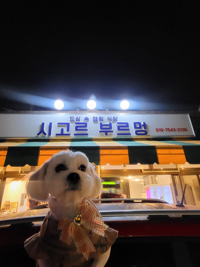 사진 7