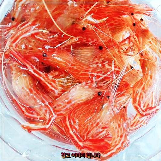  전현무계획 : 속초 동명항 아지트의 꽃새우회 독도새우 닭새우 맛집 새로운 발견