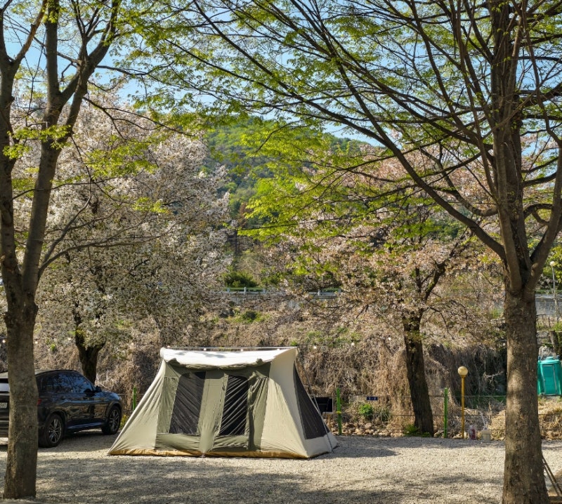 사진 6