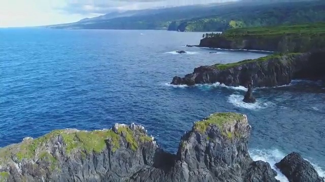  산림기사 합격 산림기사 응시조건 실무경력 없어도 혼자서 독학으로 간편하게 끝냈던 후기
