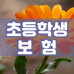  초등학생 보험 무엇부터 가입하면 좋을지 어떻게 가격 비교하면 될지 정리했어요.