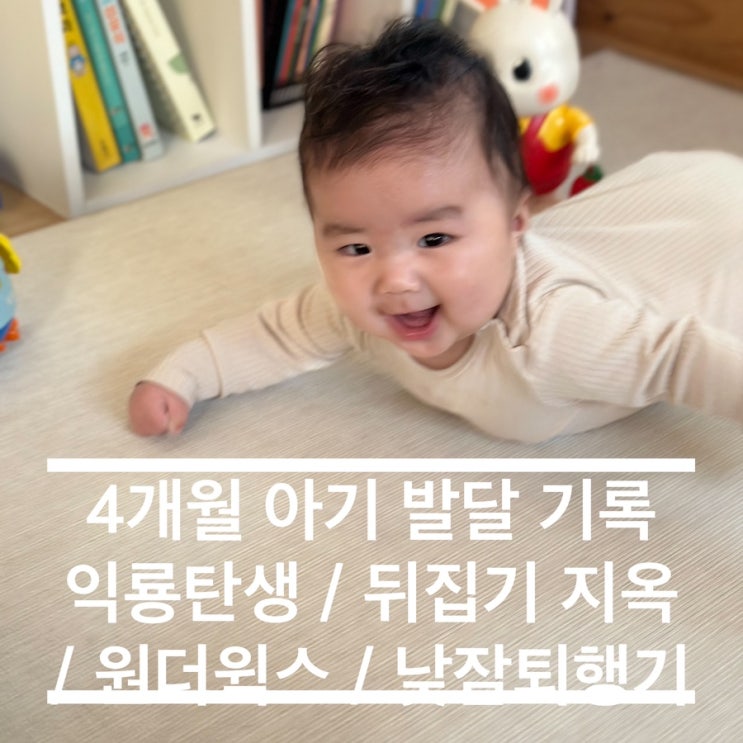 4개월 아기 발달 기록 익룡탄생 / 뒤집기 지옥 / 원더윅스 / 낮잠퇴행기 / 기기시작 / 분유거부