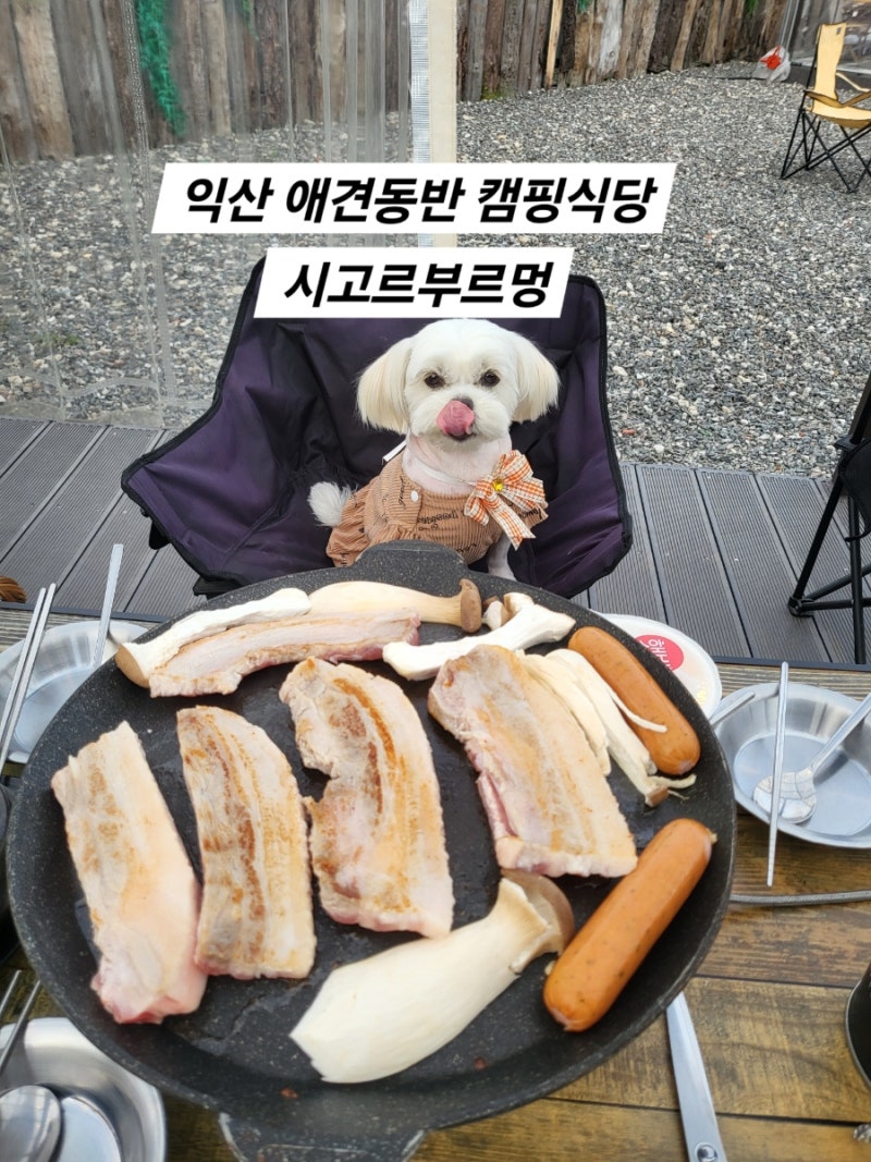 사진 6