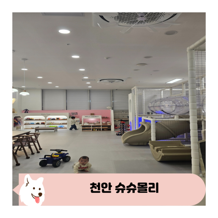  천안 대관 키즈카페 감성파티룸 슈슈몰리