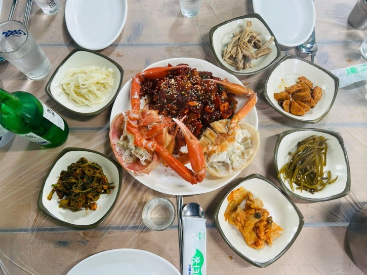  [속초술집] 동명항 부두식당