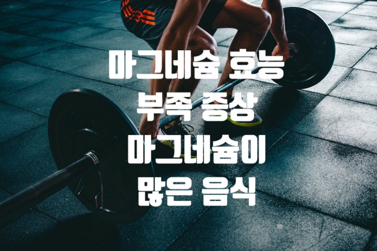  마그네슘 효능과 부족 증상 그리고 마그네슘이 많은 음식