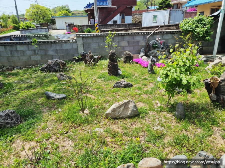 금동보쌈돼지국밥 사진 2