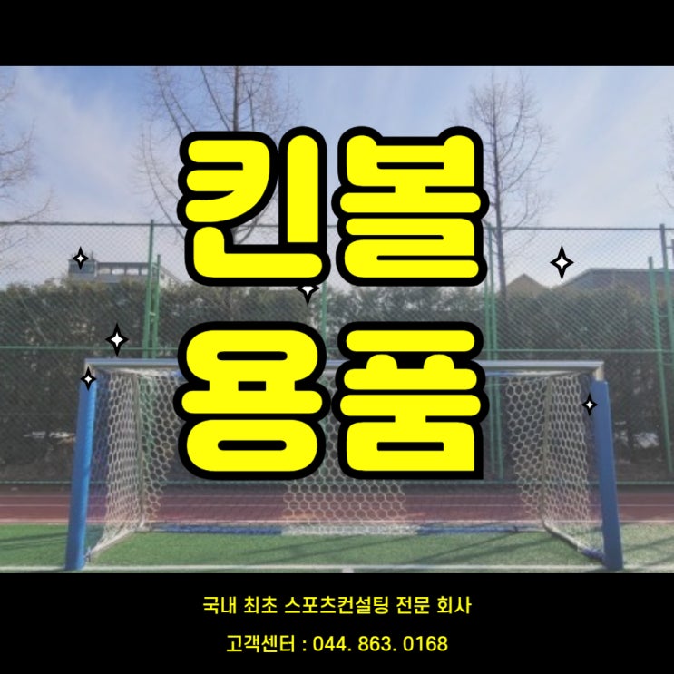  "세종교육산업 세종스포츠와 함께하는 대전노은고 킨볼 용품 구매 가이드"