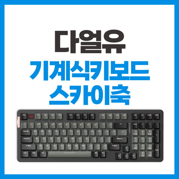  다얼유 기계식 키보드 8개월 사용 후기 (스카이축, A98)