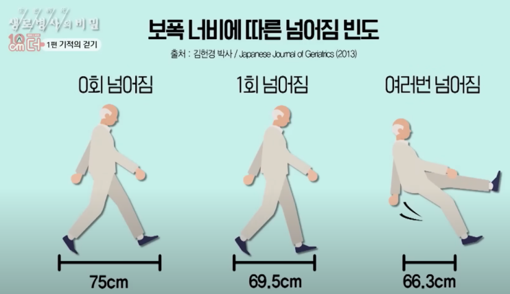  운동 챌린지 17일차, 생로병사의 비밀, 걷기 편(2)