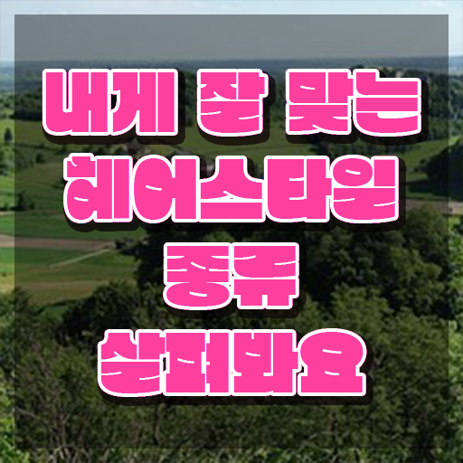 커트지도사 인강 , 커트지도사 자격증 비용없이 온라인으로 합격한 후기 , 향후 전망