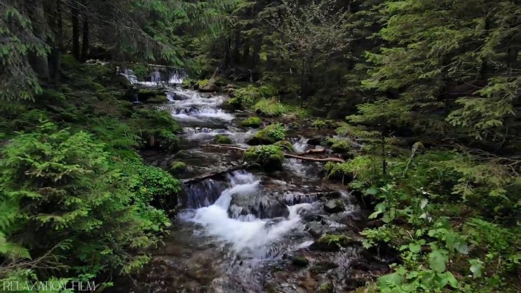  조경산업기사 교재 , 조경산업기사 시험응시자격 관련학과 아니어도 인강으로 학점따서 최단기간 끝내는 비법