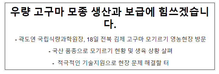 우량 고구마 모종 생산과 보급에 힘쓰겠습니다. 우량 고구마 모종 생산과 보급에 힘쓰겠습니다.