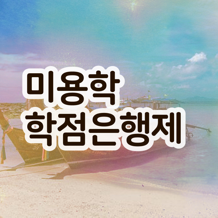  미용사 면허증 발급 , 미용면허증 직장 다니며 간편하게 준비했던 전략