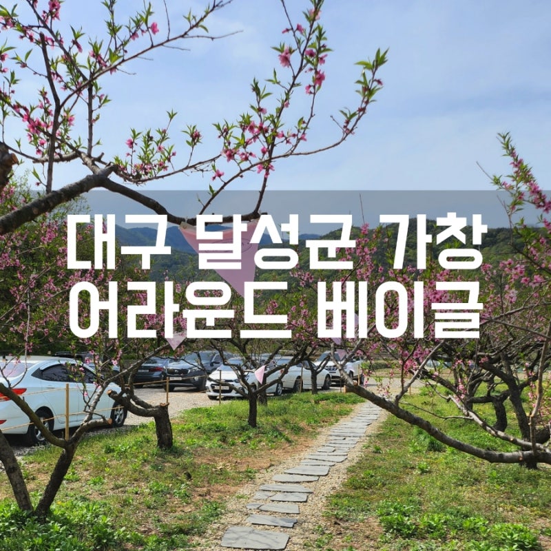 어라운드베이글 — 달성군