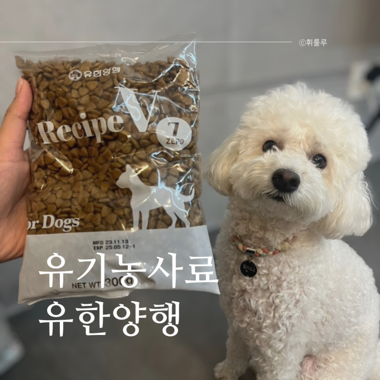  유한양행 강아지 유기농 사료 레시피브이 세븐제로 비 소고기맛