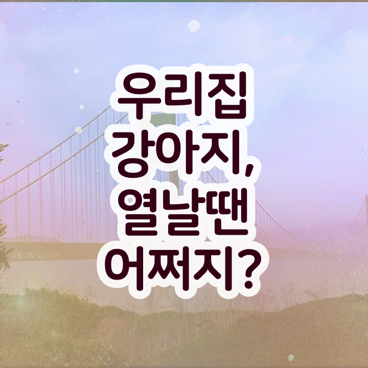  부산 반려동물의료비지원 , 반려동물관리사 자격증 온라인 강의 추천합니다