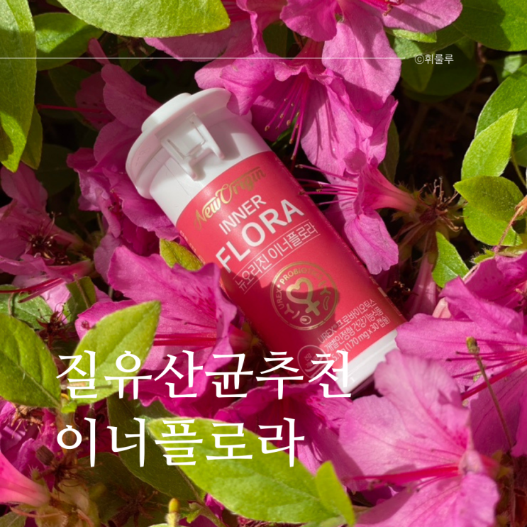  여성 임산부 질유산균추천 뉴오리진 이너플로라